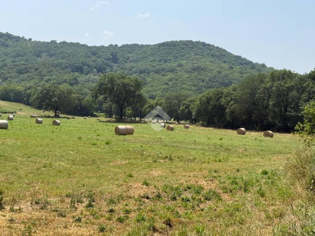 Terreno a Orte in Vocabolo bagno - Foto 3