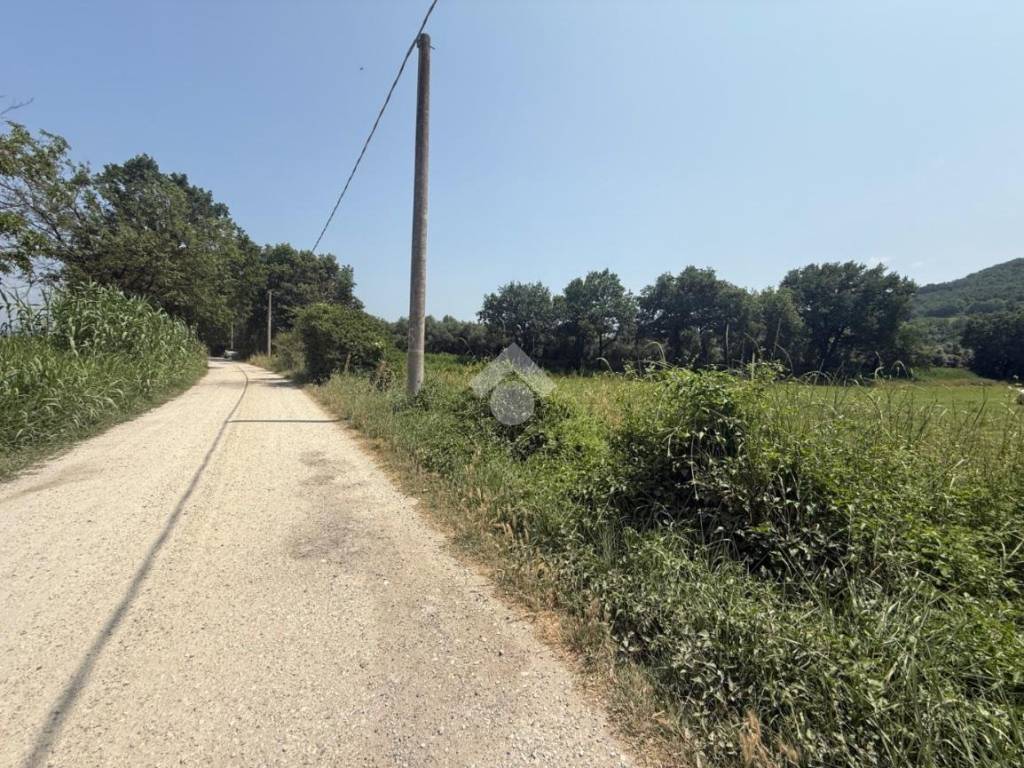 Terreno a Orte in Vocabolo bagno - Foto 4