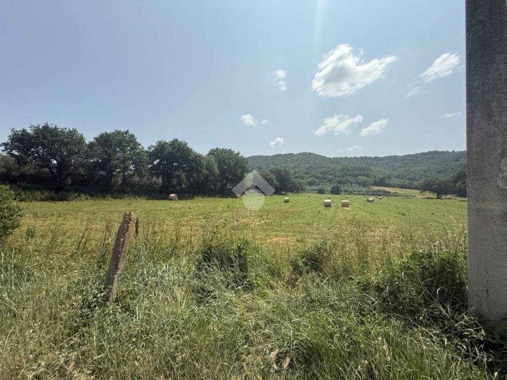 Terreno a Orte in Vocabolo bagno - Foto 5