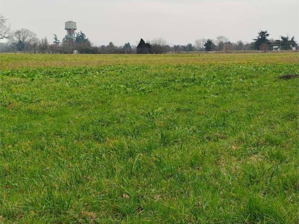 Terreno a Reggio emilia - Foto 4