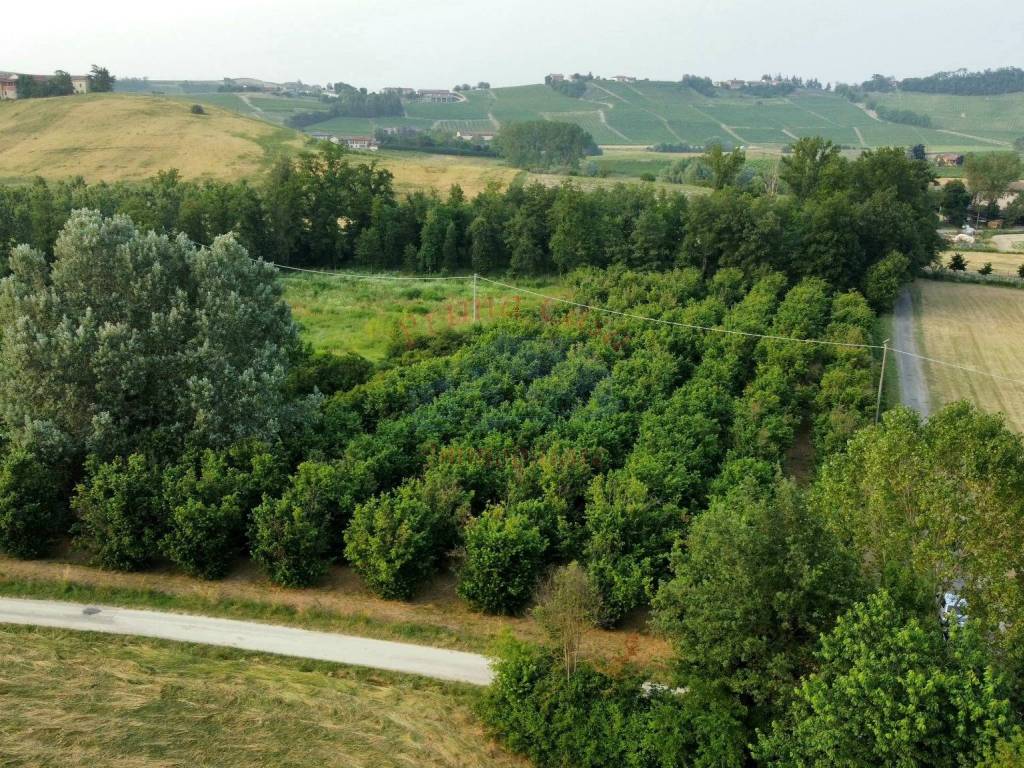 Terreno a Costigliole d'asti in Strada Valle Nizza - Foto 2