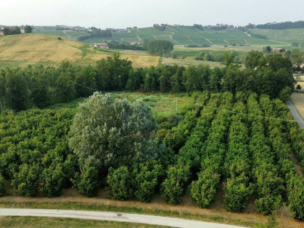 Terreno a Costigliole d'asti in Strada Valle Nizza - Foto 4
