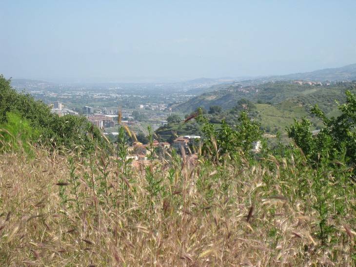 Terreno a Cosenza in Contrada Timpone degli Ulivi - Foto 2