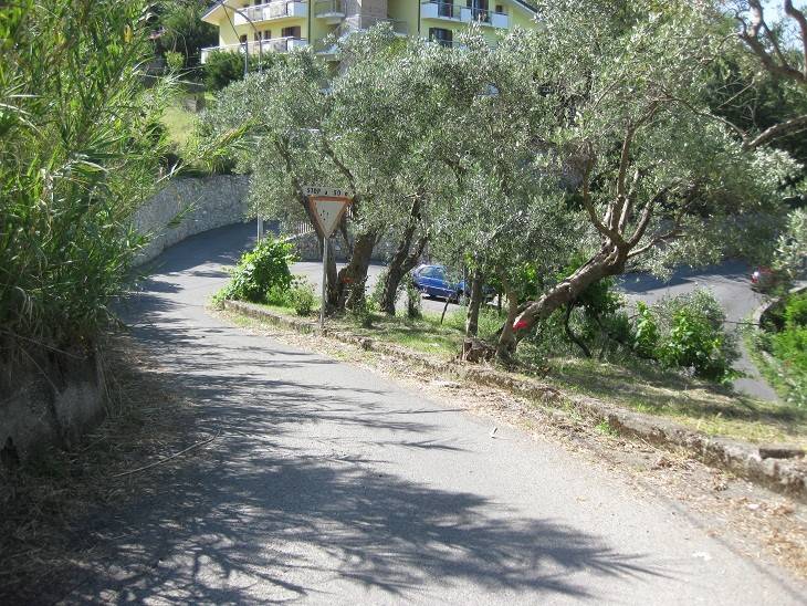 Terreno a Cosenza in Contrada Timpone degli Ulivi - Foto 4