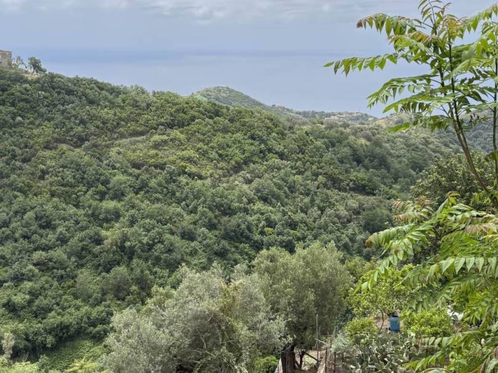 Appartamento a Pollica in VIA PROVINCIALE - Foto 4