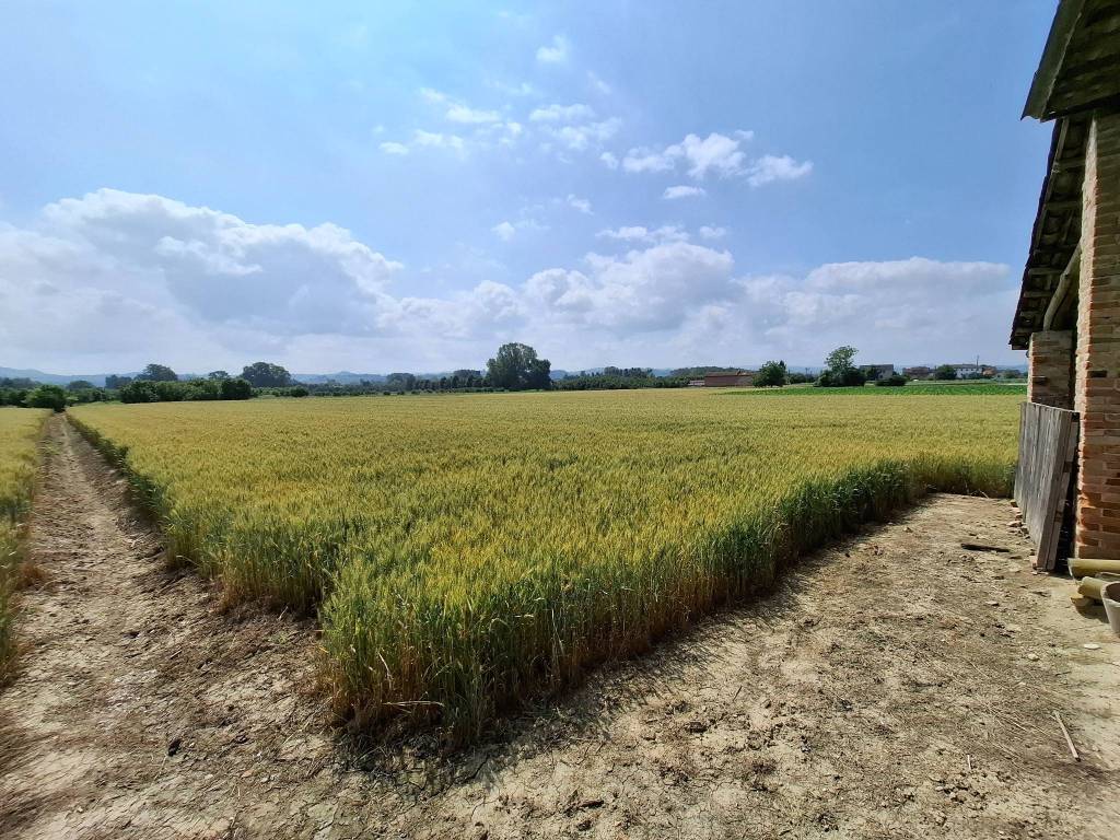 Rustico / casale a Govone in Govone - Foto 5