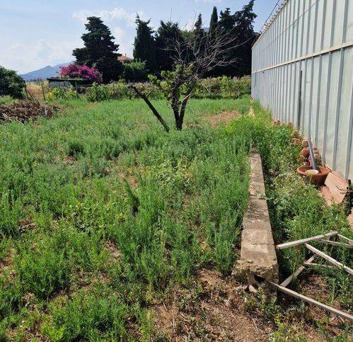 Villa a Ceriale in Strada Statale 1 316 - Foto 4