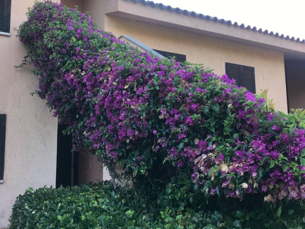 Appartamento a Olbia in Via Matta Poderada - Foto 2