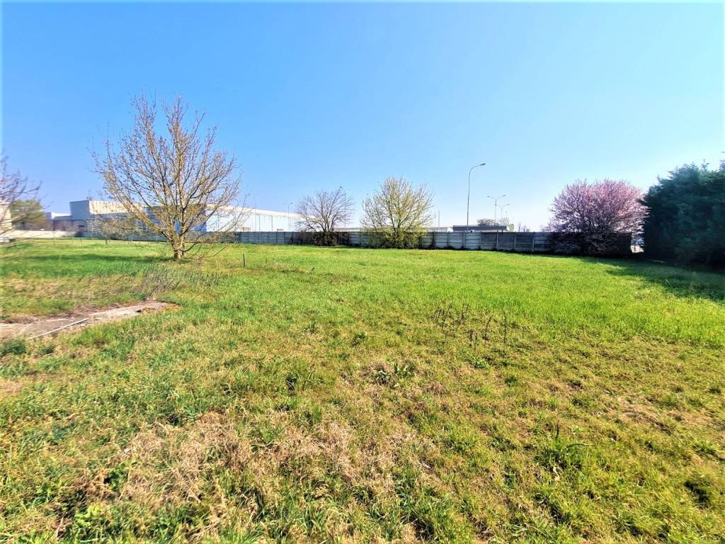Rustico / casale a Gualtieri in SP63r - Foto 5