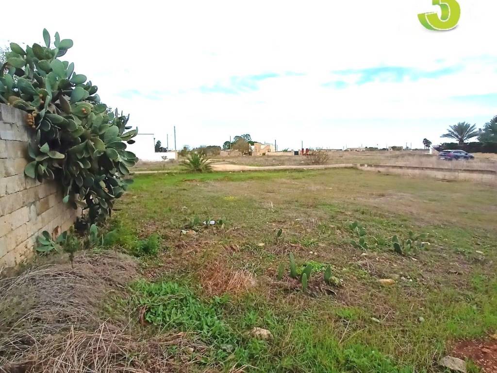 Terreno a Montesano salentino in Strada Comunale per Montesano - Foto 2