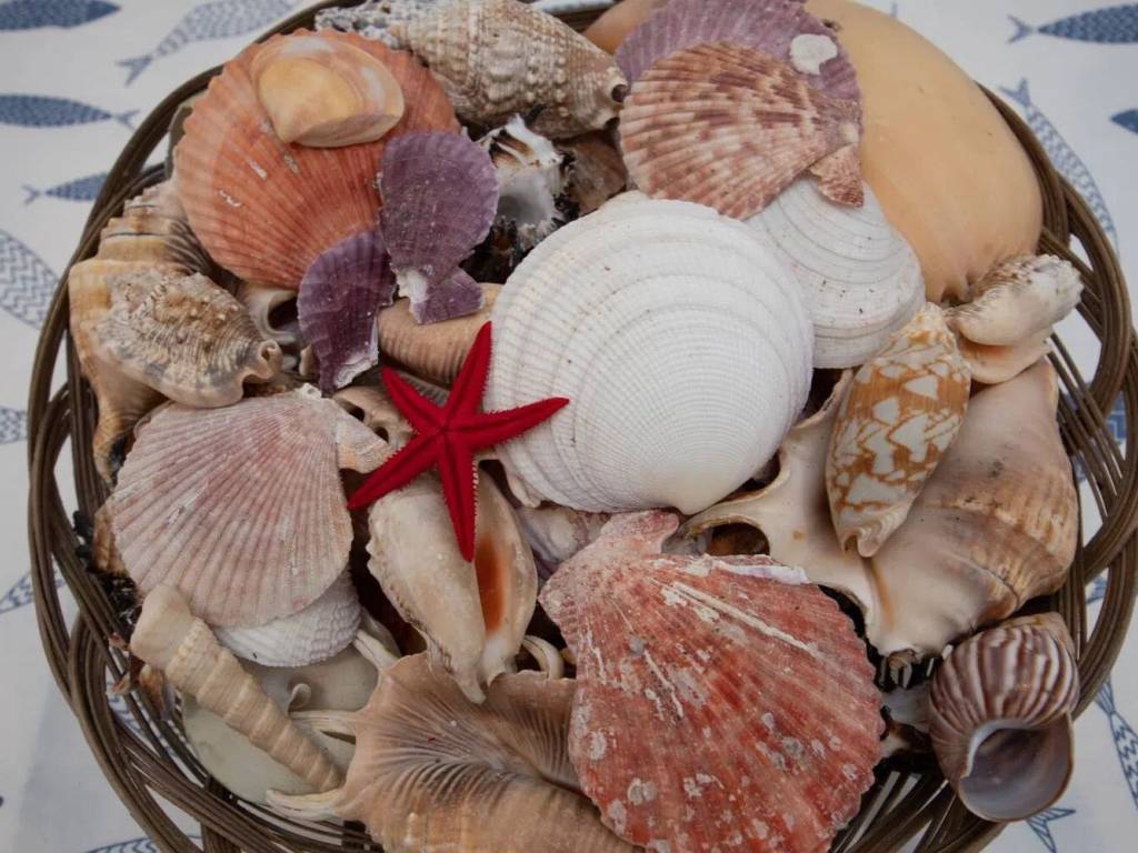 Appartamento a Albisola superiore - Foto 4