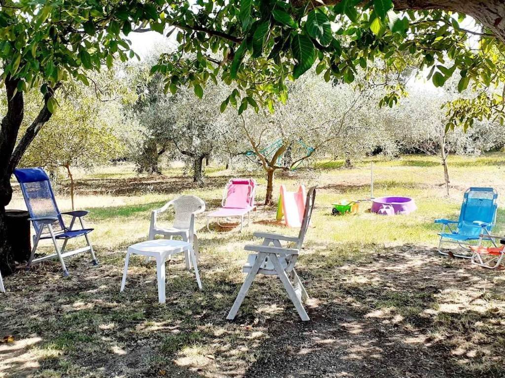 Terreno a Rosignano marittimo in Via del Mondiglio, 65 - Foto 2