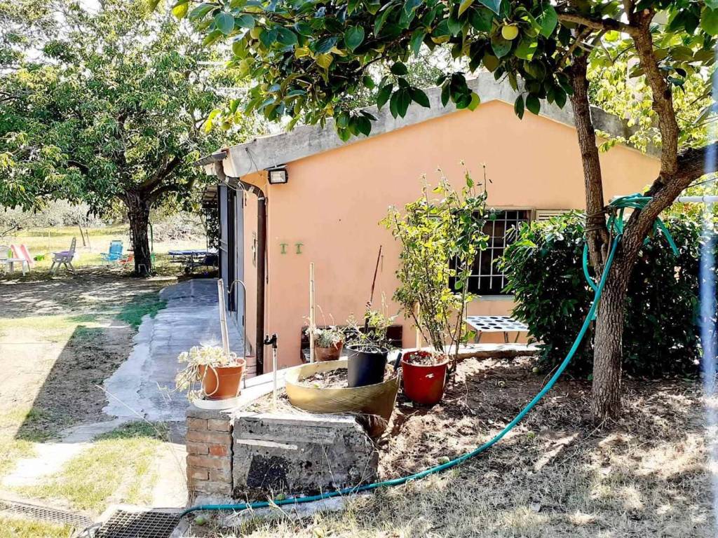 Terreno a Rosignano marittimo in Via del Mondiglio, 65 - Foto 4