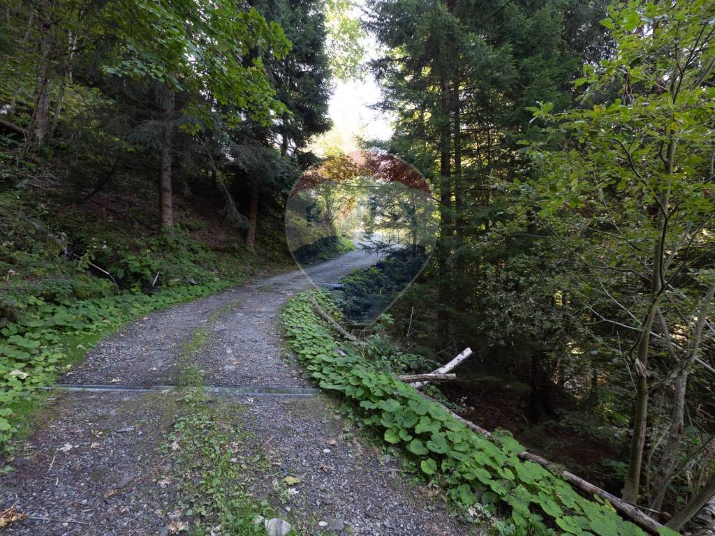 Terreno a Fusine in LOCALITA' VALMADRE - Foto 5