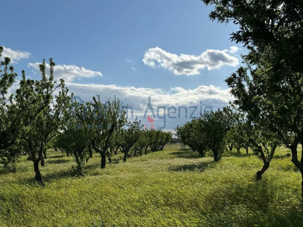 Terreno a Carovigno - Foto 5