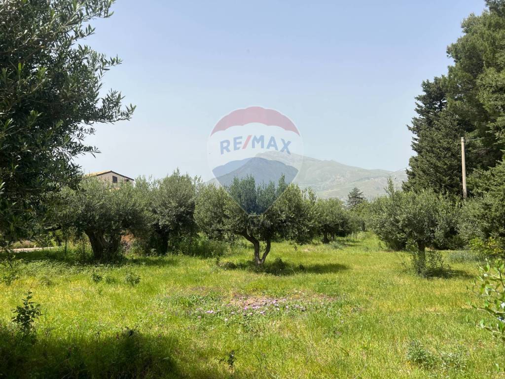 Terreno a Castellammare del golfo in contrada Fraginesi - Foto 5