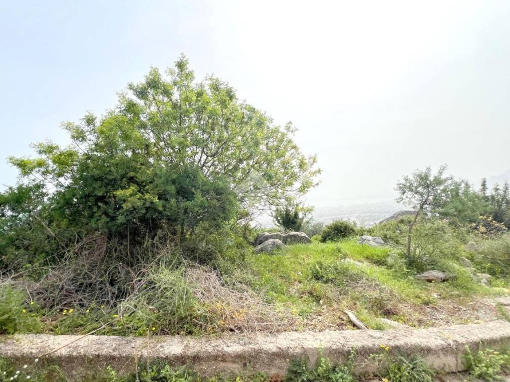 Terreno a Palermo in VIA MARIANNA COFFA CARUSO - Foto 1