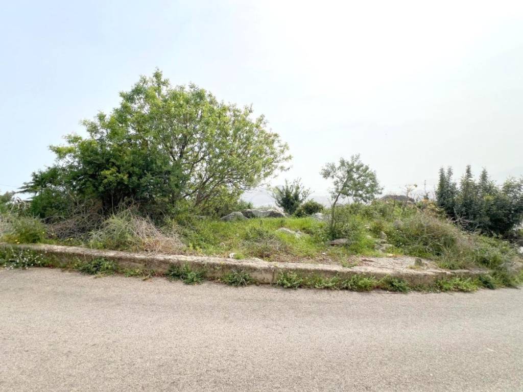 Terreno a Palermo in VIA MARIANNA COFFA CARUSO - Foto 3