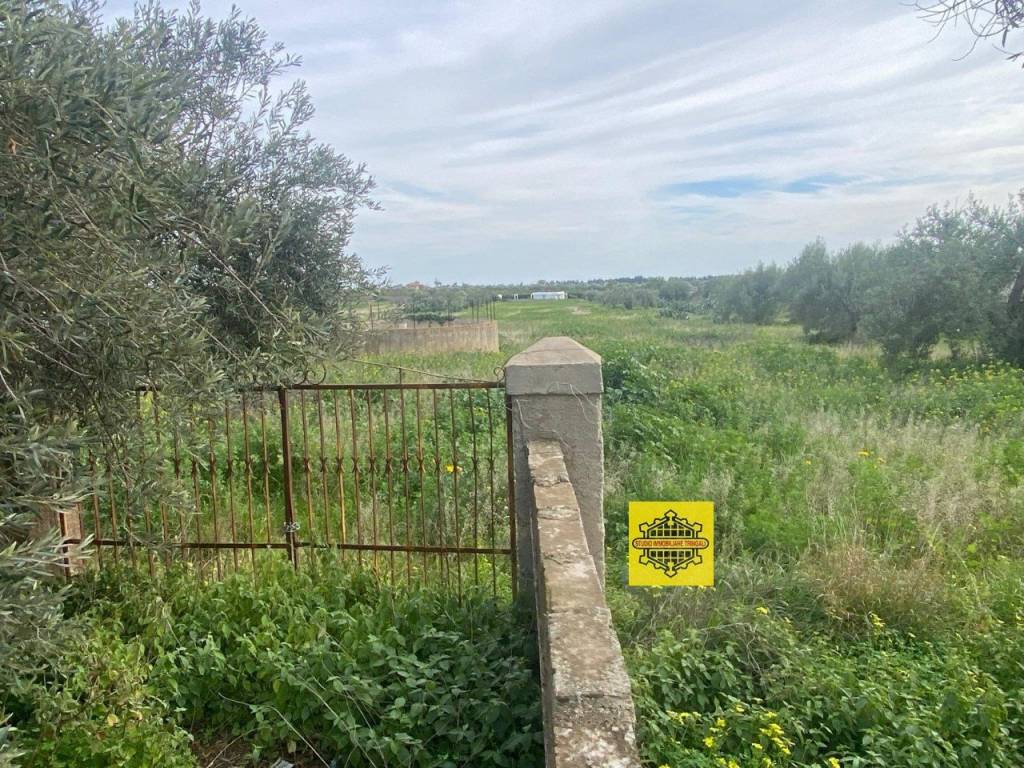 Terreno a Noto - Foto 2