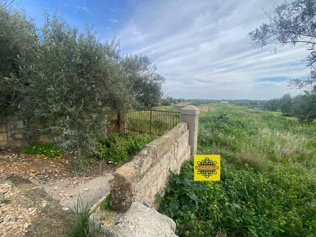 Terreno a Noto - Foto 5