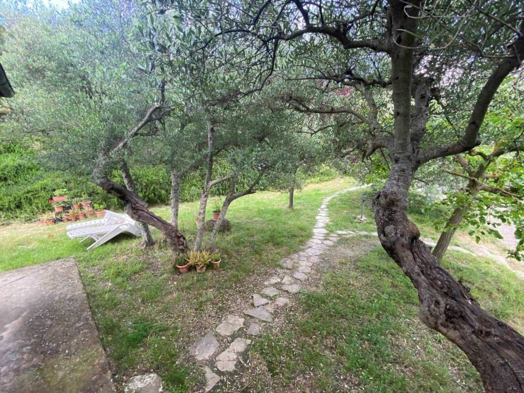 Casa indipendente a Panicale - Foto 4