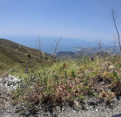 Terreno a Castelmola in Strada Senza Nome - Foto 3