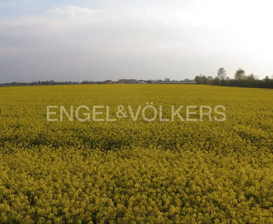 Terreno a Lendinara - Foto 2