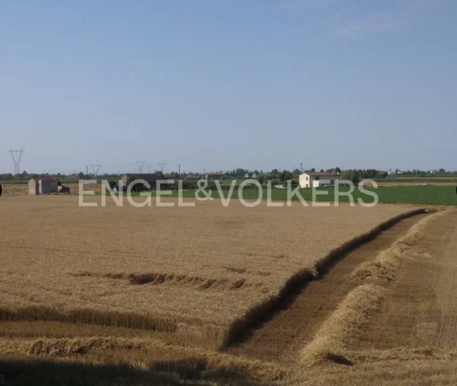 Terreno a Lendinara - Foto 3