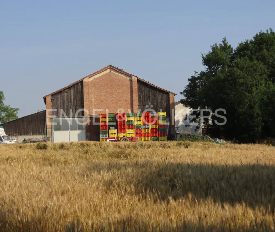 Terreno a Lendinara - Foto 4