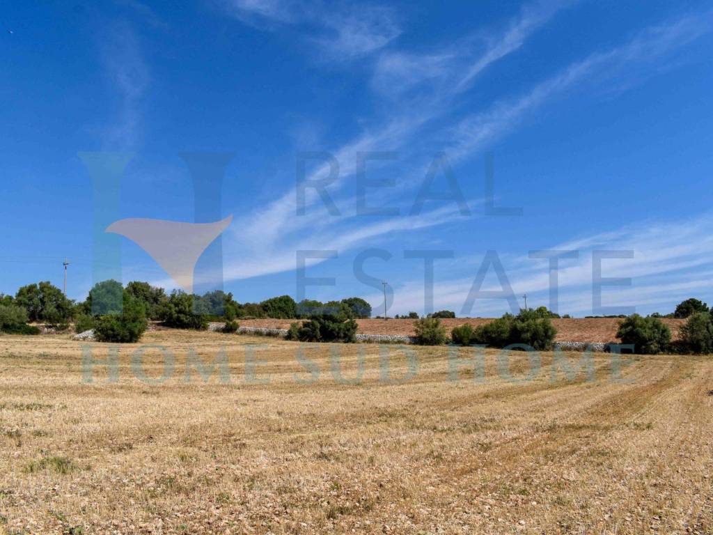 Terreno a Noto in Via Tommaso Fazello, 228 - Foto 4