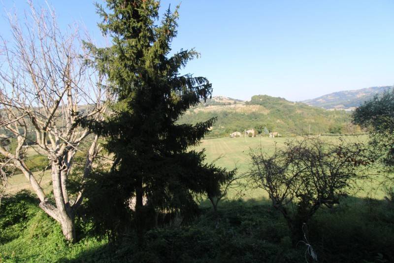 Rustico / casale a Mergo in Via La Villa, 10 - Foto 3