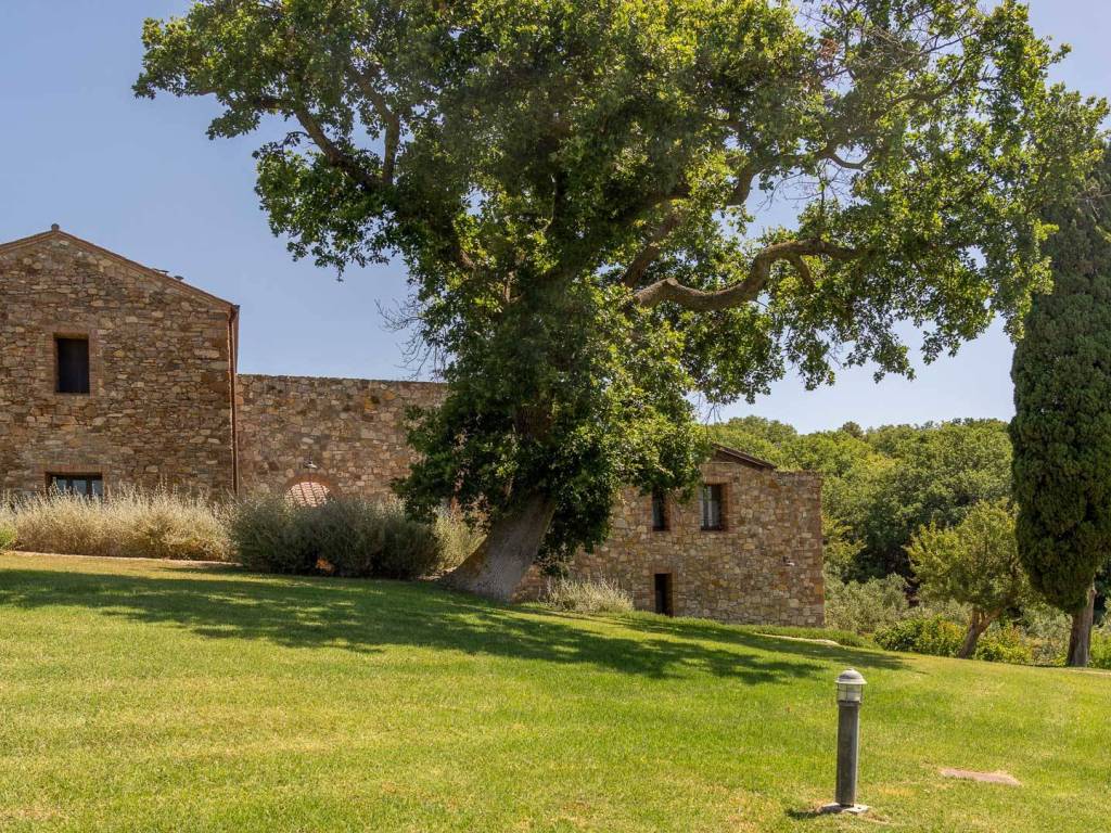 Rustico / casale a Cinigiano in Strada Consortile dei Piscioli - Foto 3