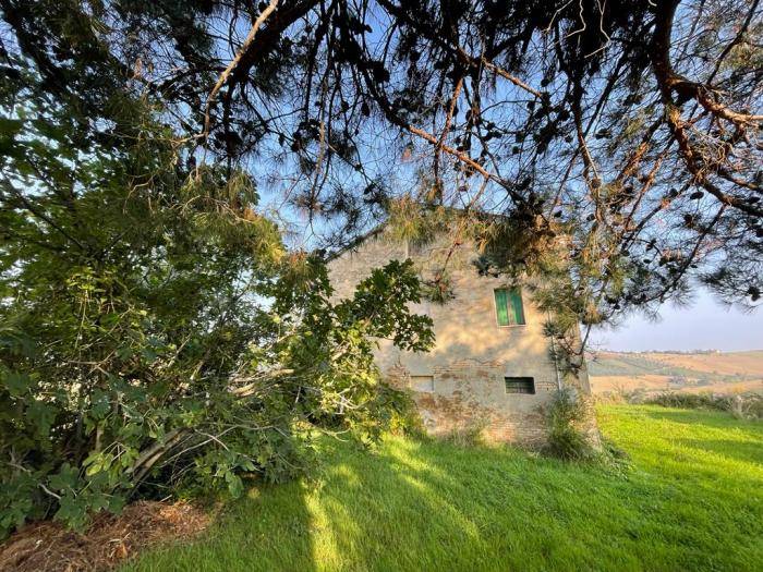 Rustico / casale a Ostra - Foto 3