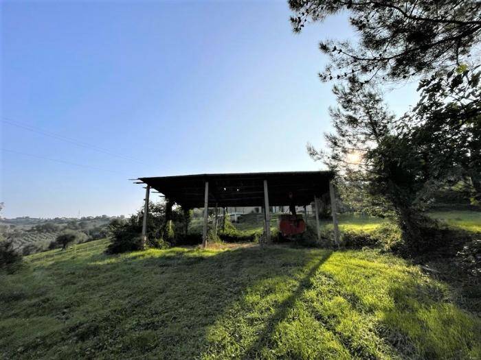 Rustico / casale a Ostra - Foto 5