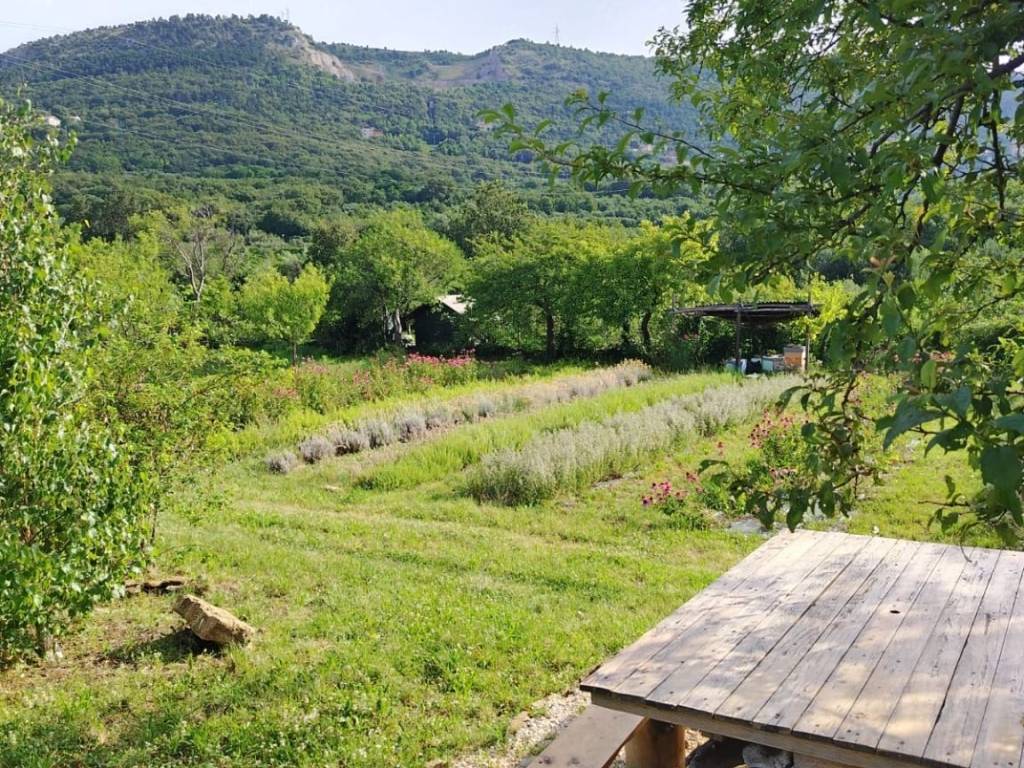 Terreno a San dorligo della valle - dolina in Bagnoli della Rosandra, 600 - Foto 3