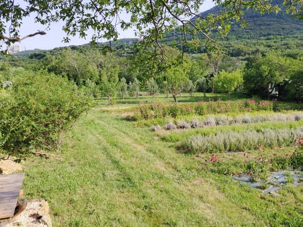 Terreno a San dorligo della valle - dolina in Bagnoli della Rosandra, 600 - Foto 4