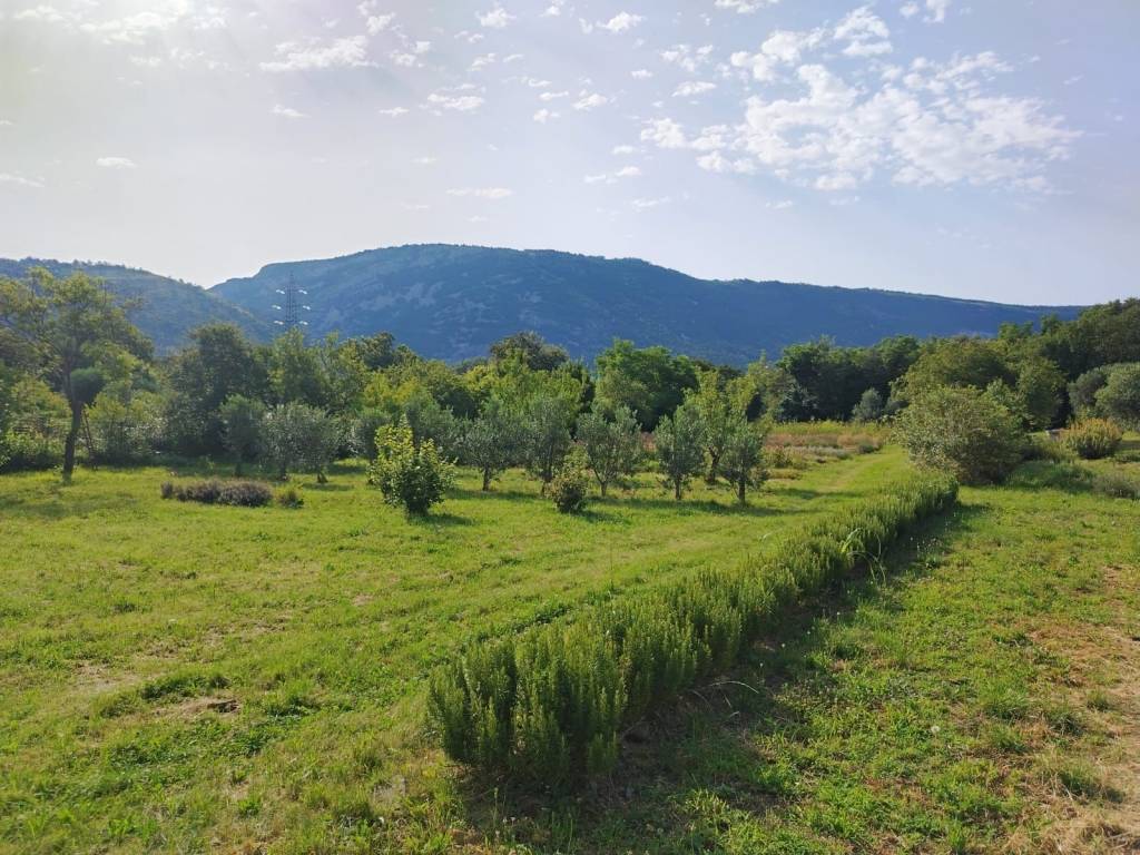 Terreno a San dorligo della valle - dolina in Bagnoli della Rosandra, 600 - Foto 5