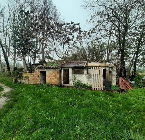 Rustico / casale a Camerano - Foto 4