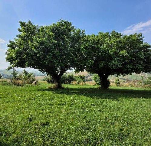 Rustico / casale a Agugliano - Foto 3