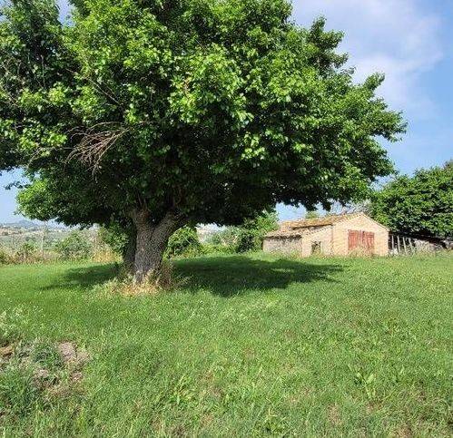 Rustico / casale a Agugliano - Foto 5