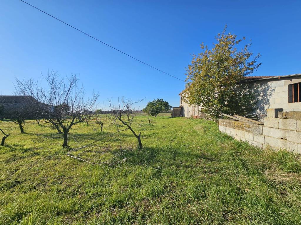 Rustico / casale a Pignataro maggiore in Contrada Arianova - Foto 2