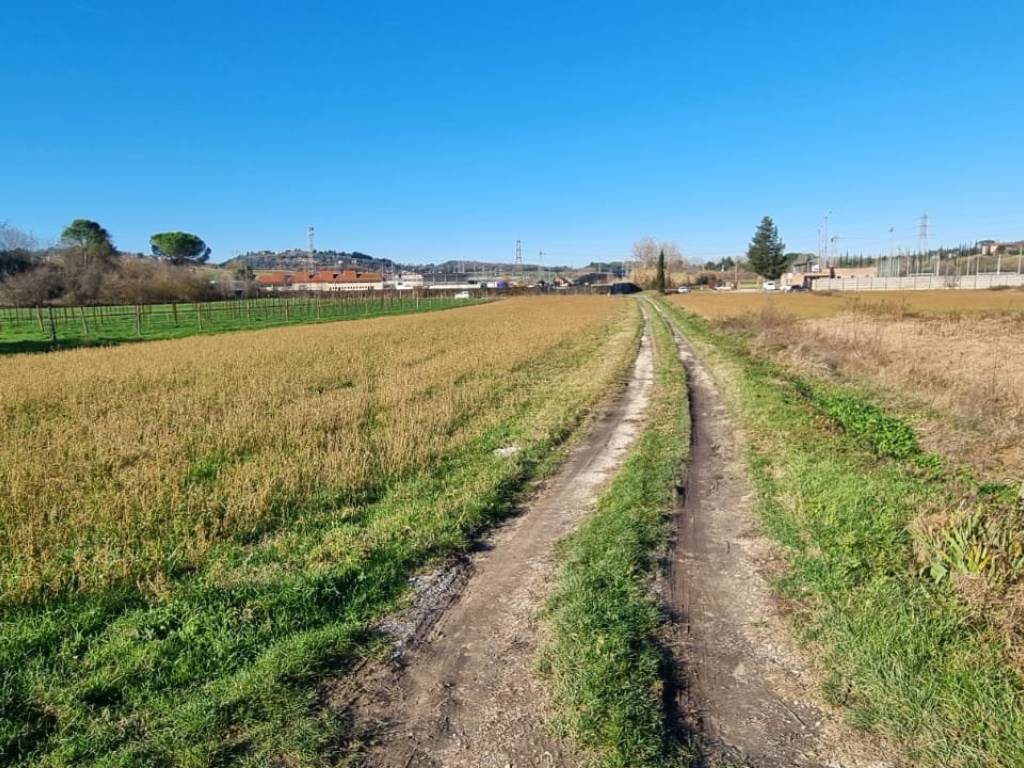 Terreno a Fauglia in Strada Provinciale Pian della Tora - Foto 2
