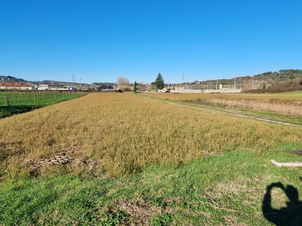 Terreno a Fauglia in Strada Provinciale Pian della Tora - Foto 3