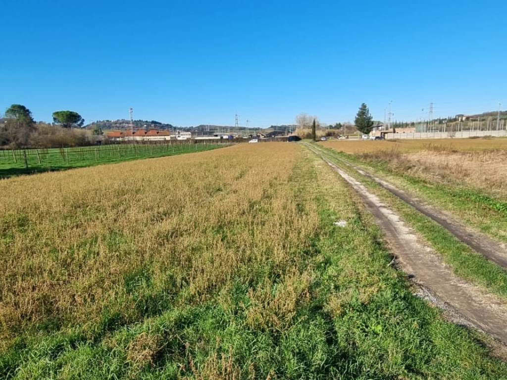 Terreno a Fauglia in Strada Provinciale Pian della Tora - Foto 4