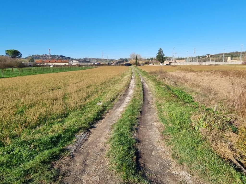 Terreno a Fauglia in Strada Provinciale Pian della Tora - Foto 5