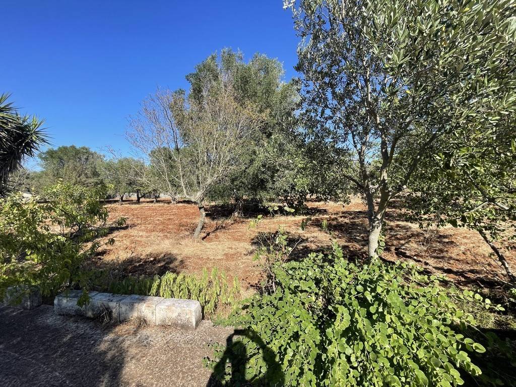 Rustico / casale a Ceglie messapica in SP24 - Foto 5