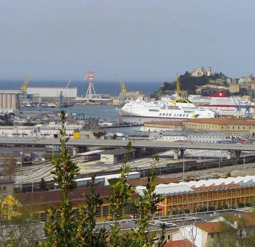 immagine di copertina