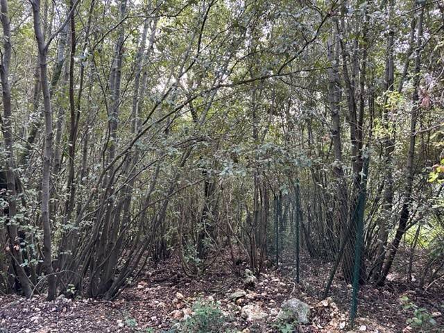 Terreno a Narni in Narni - Foto 2