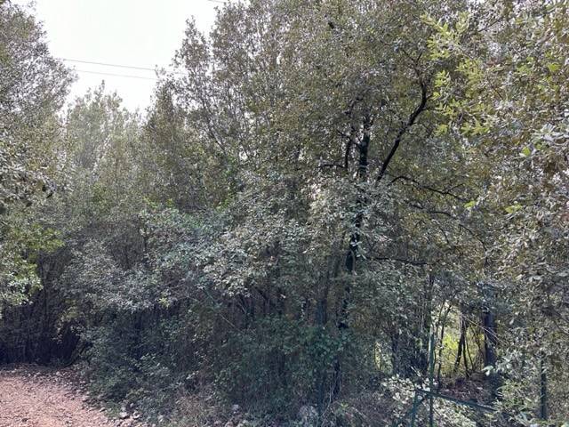 Terreno a Narni in Narni - Foto 3