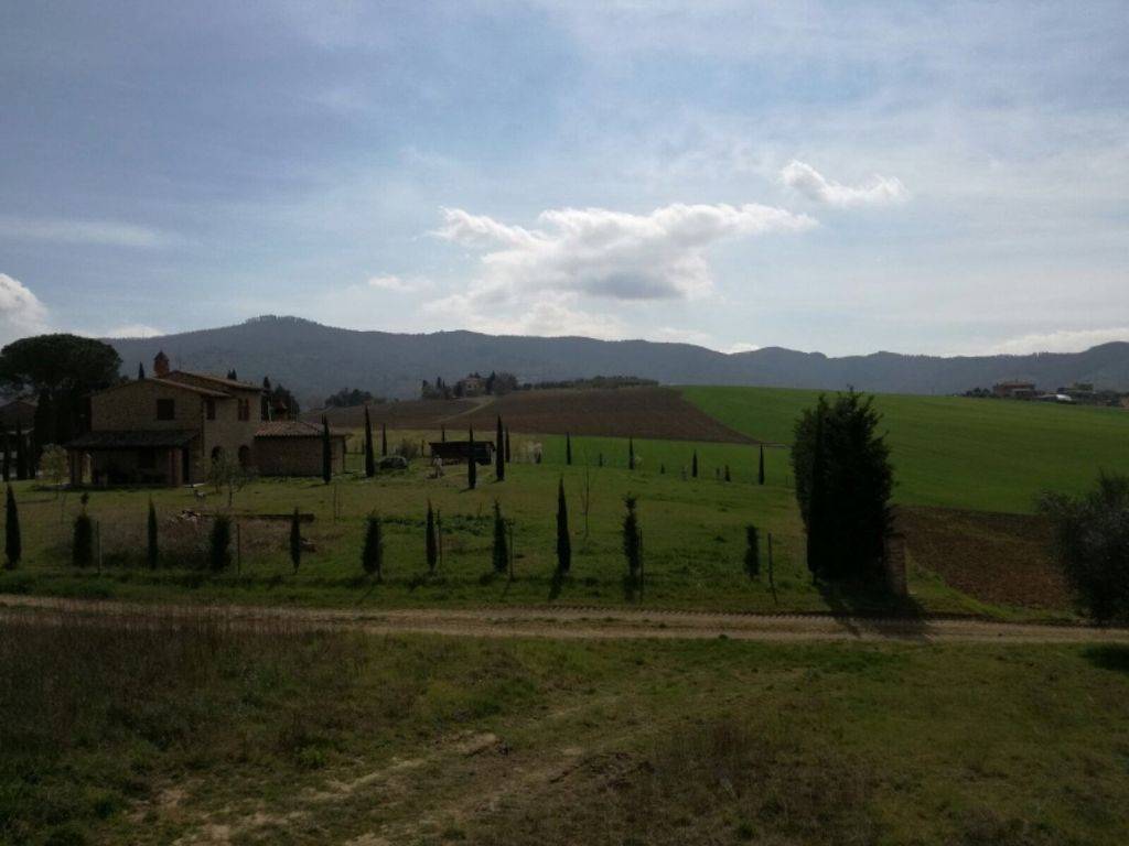 Rustico / casale a Paciano in Via di Paciano - Foto 3
